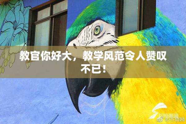教官你好大，教学风范令人赞叹不已！