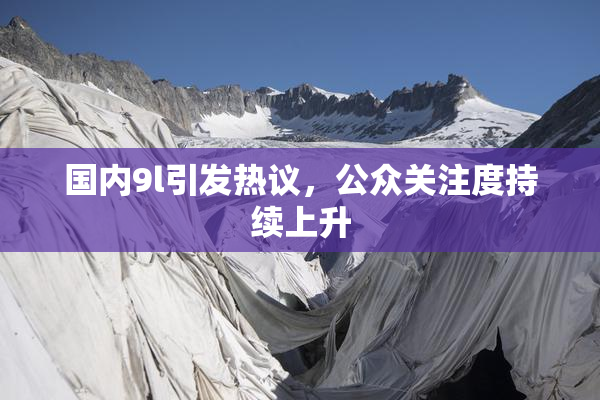 国内9l引发热议，公众关注度持续上升