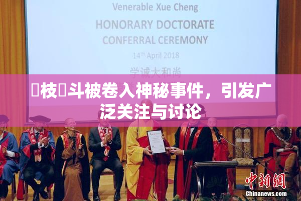 狛枝凪斗被卷入神秘事件，引发广泛关注与讨论