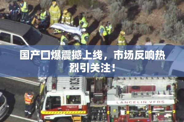 国产囗爆震撼上线，市场反响热烈引关注！