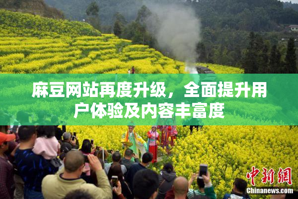 麻豆网站再度升级，全面提升用户体验及内容丰富度