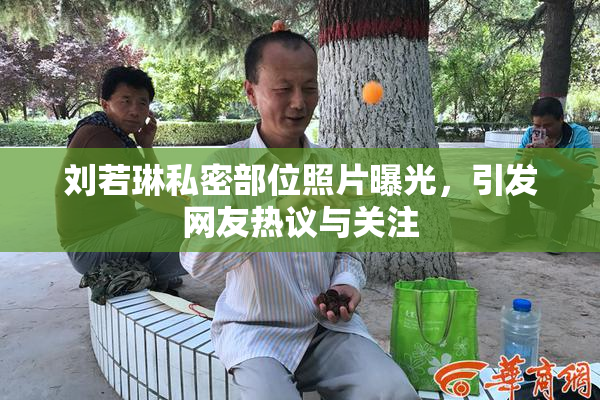 刘若琳私密部位照片曝光，引发网友热议与关注