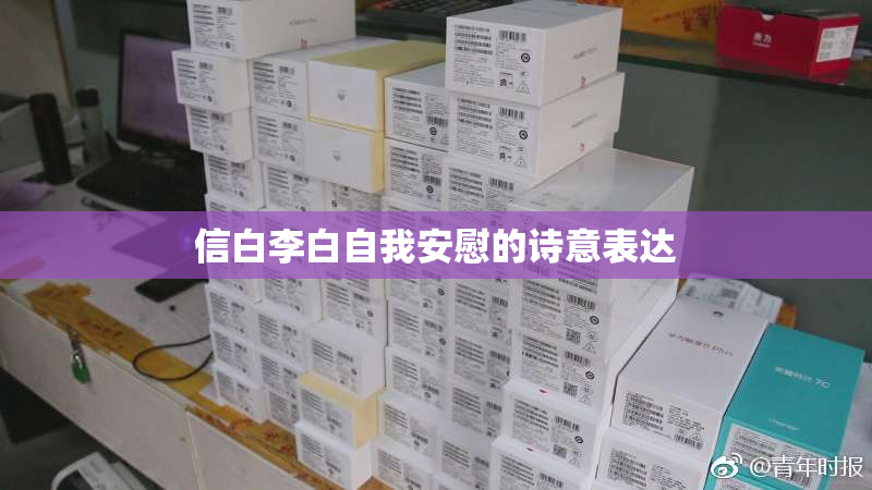 信白李白自我安慰的诗意表达