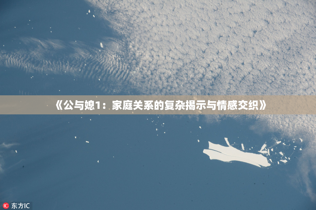 《公与媳1：家庭关系的复杂揭示与情感交织》