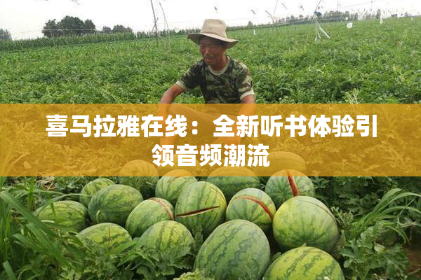 喜马拉雅在线：全新听书体验引领音频潮流