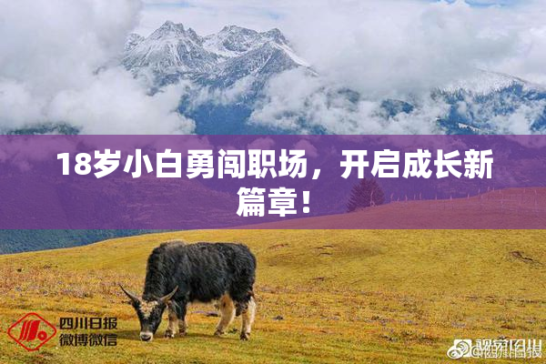 18岁小白勇闯职场，开启成长新篇章！