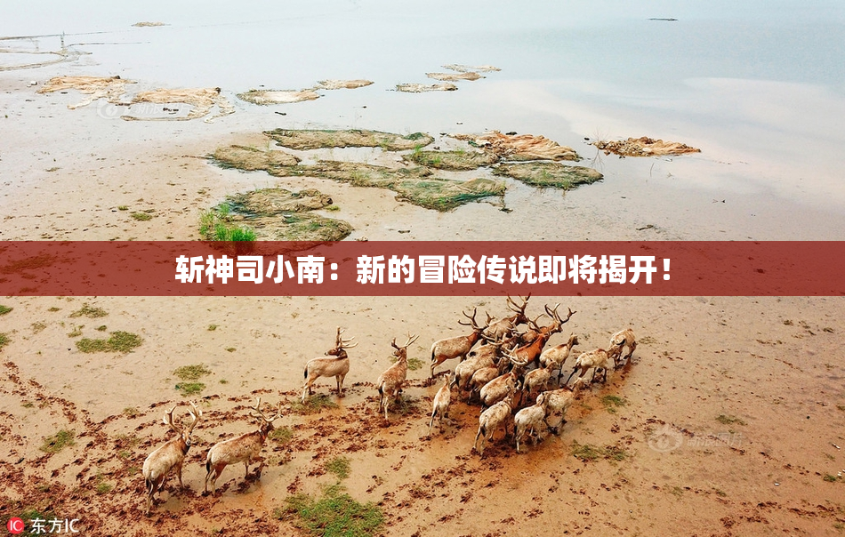 斩神司小南：新的冒险传说即将揭开！