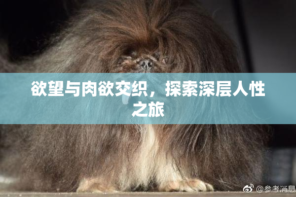 欲望与肉欲交织，探索深层人性之旅