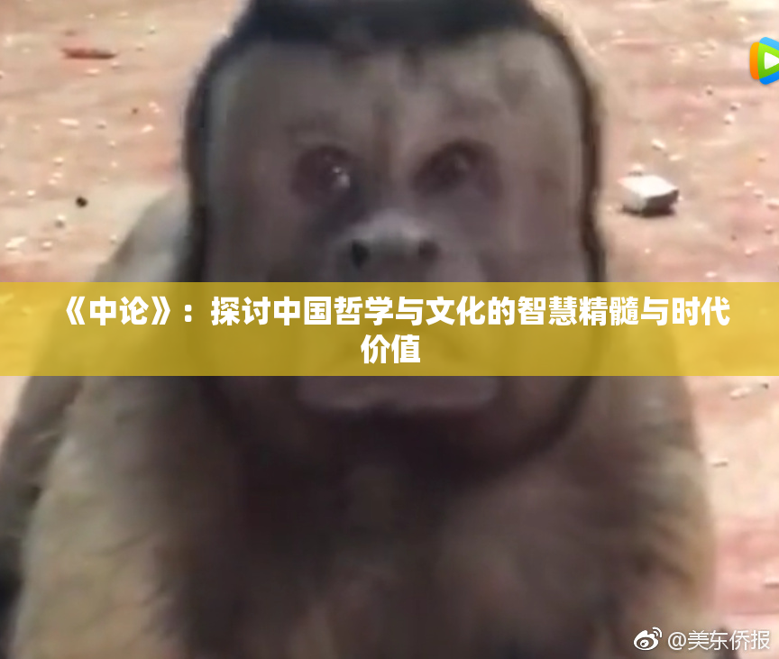 《中论》：探讨中国哲学与文化的智慧精髓与时代价值