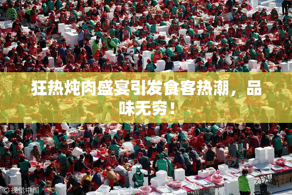 狂热炖肉盛宴引发食客热潮，品味无穷！