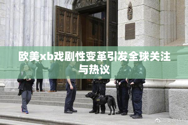 欧美xb戏剧性变革引发全球关注与热议