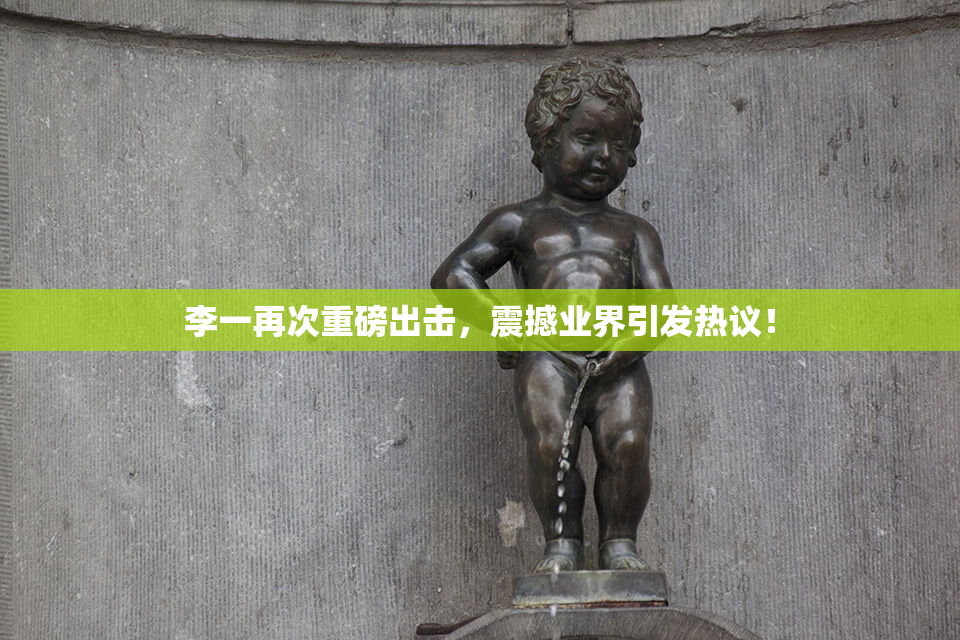 李一再次重磅出击，震撼业界引发热议！
