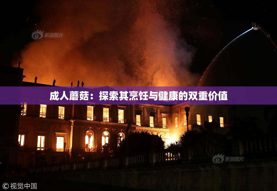 成人蘑菇：探索其烹饪与健康的双重价值