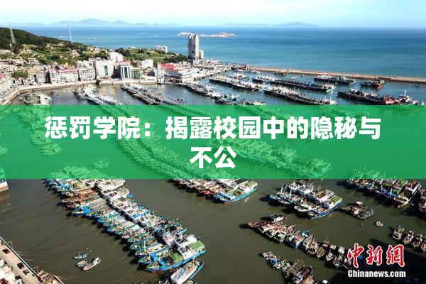 惩罚学院：揭露校园中的隐秘与不公