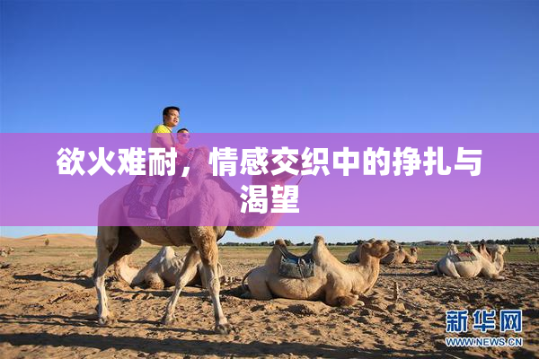 欲火难耐，情感交织中的挣扎与渴望