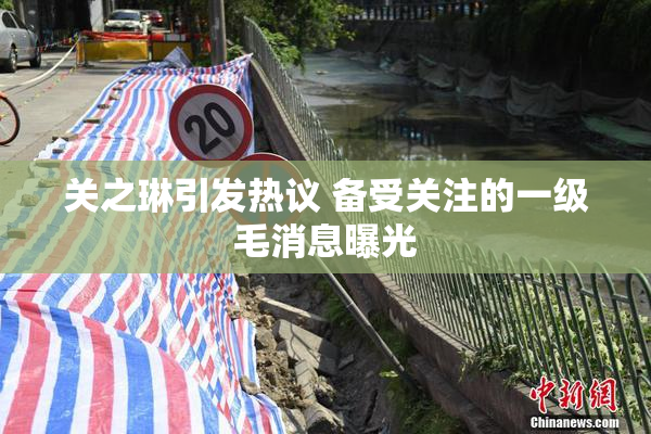 关之琳引发热议 备受关注的一级毛消息曝光