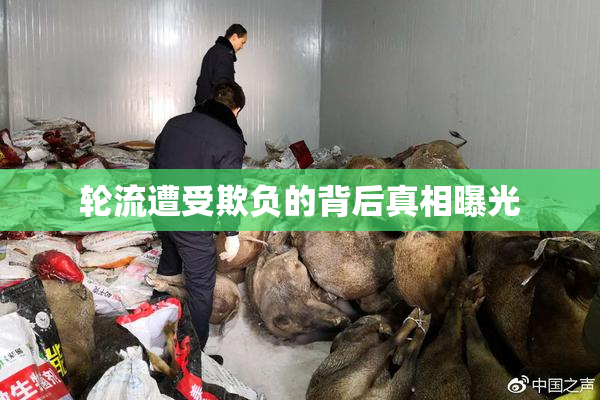轮流遭受欺负的背后真相曝光