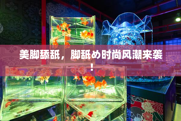 美脚舔舐，脚舐め时尚风潮来袭！