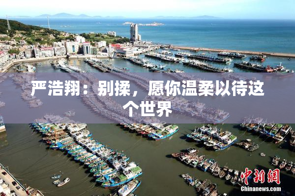 严浩翔：别揉，愿你温柔以待这个世界