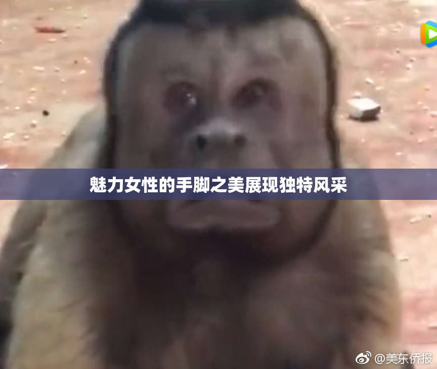 魅力女性的手脚之美展现独特风采