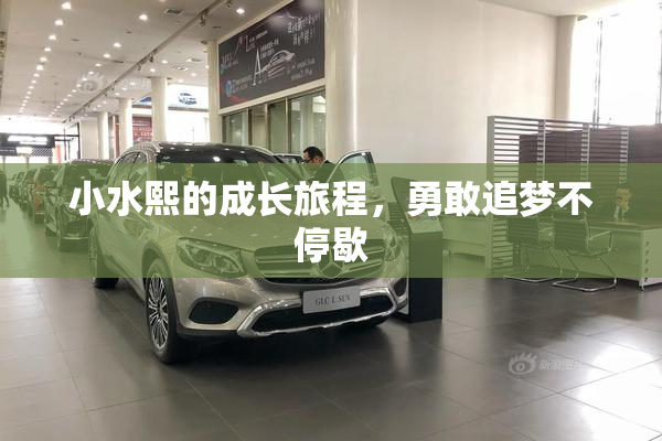 小水熙的成长旅程，勇敢追梦不停歇