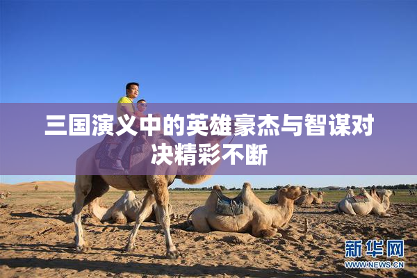三国演义中的英雄豪杰与智谋对决精彩不断