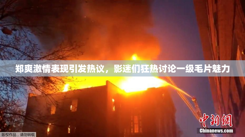 郑爽激情表现引发热议，影迷们狂热讨论一级毛片魅力