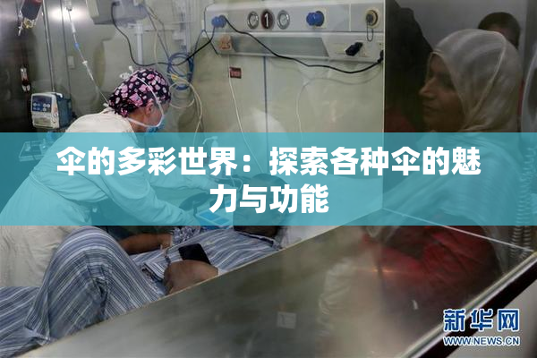 伞的多彩世界：探索各种伞的魅力与功能