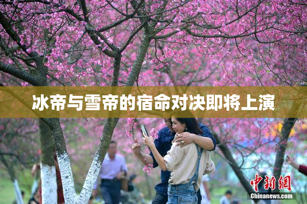 冰帝与雪帝的宿命对决即将上演