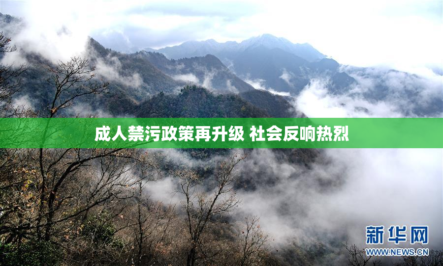 成人禁污政策再升级 社会反响热烈