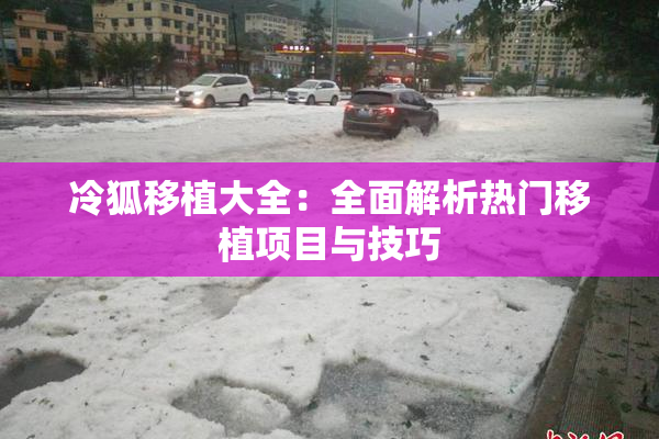 冷狐移植大全：全面解析热门移植项目与技巧