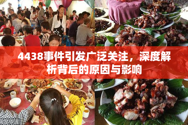 4438事件引发广泛关注，深度解析背后的原因与影响