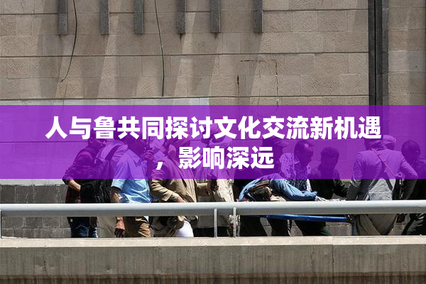 人与鲁共同探讨文化交流新机遇，影响深远