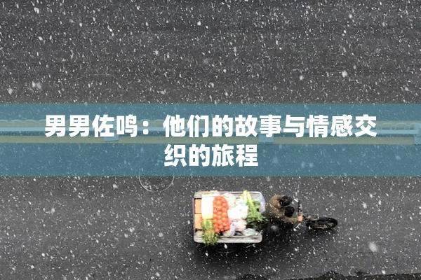 男男佐鸣：他们的故事与情感交织的旅程