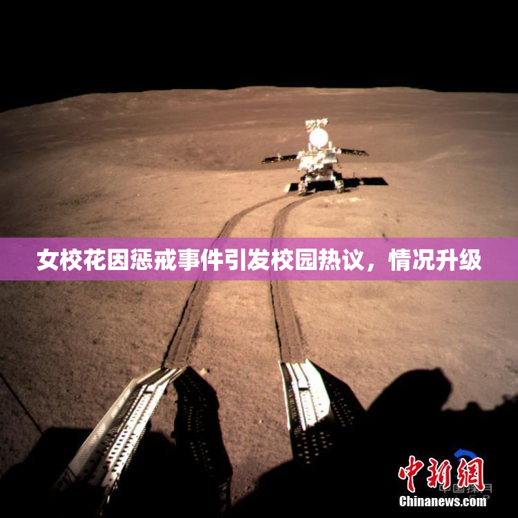女校花因惩戒事件引发校园热议，情况升级