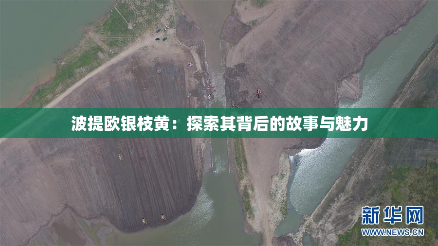 波提欧银枝黄：探索其背后的故事与魅力