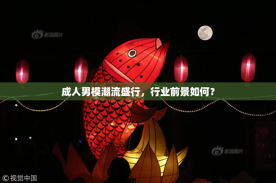 成人男模潮流盛行，行业前景如何？