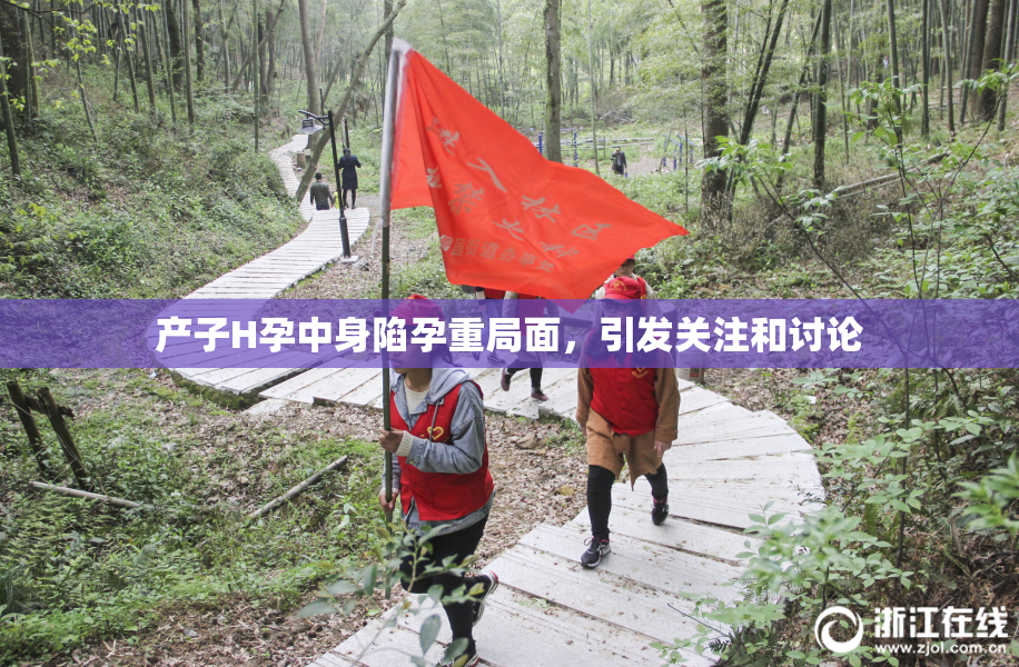 产子H孕中身陷孕重局面，引发关注和讨论