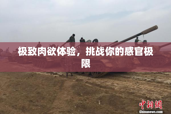 极致肉欲体验，挑战你的感官极限