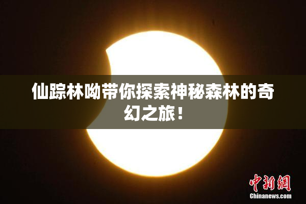 仙踪林呦带你探索神秘森林的奇幻之旅！