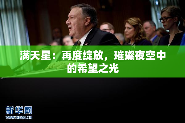 满天星：再度绽放，璀璨夜空中的希望之光