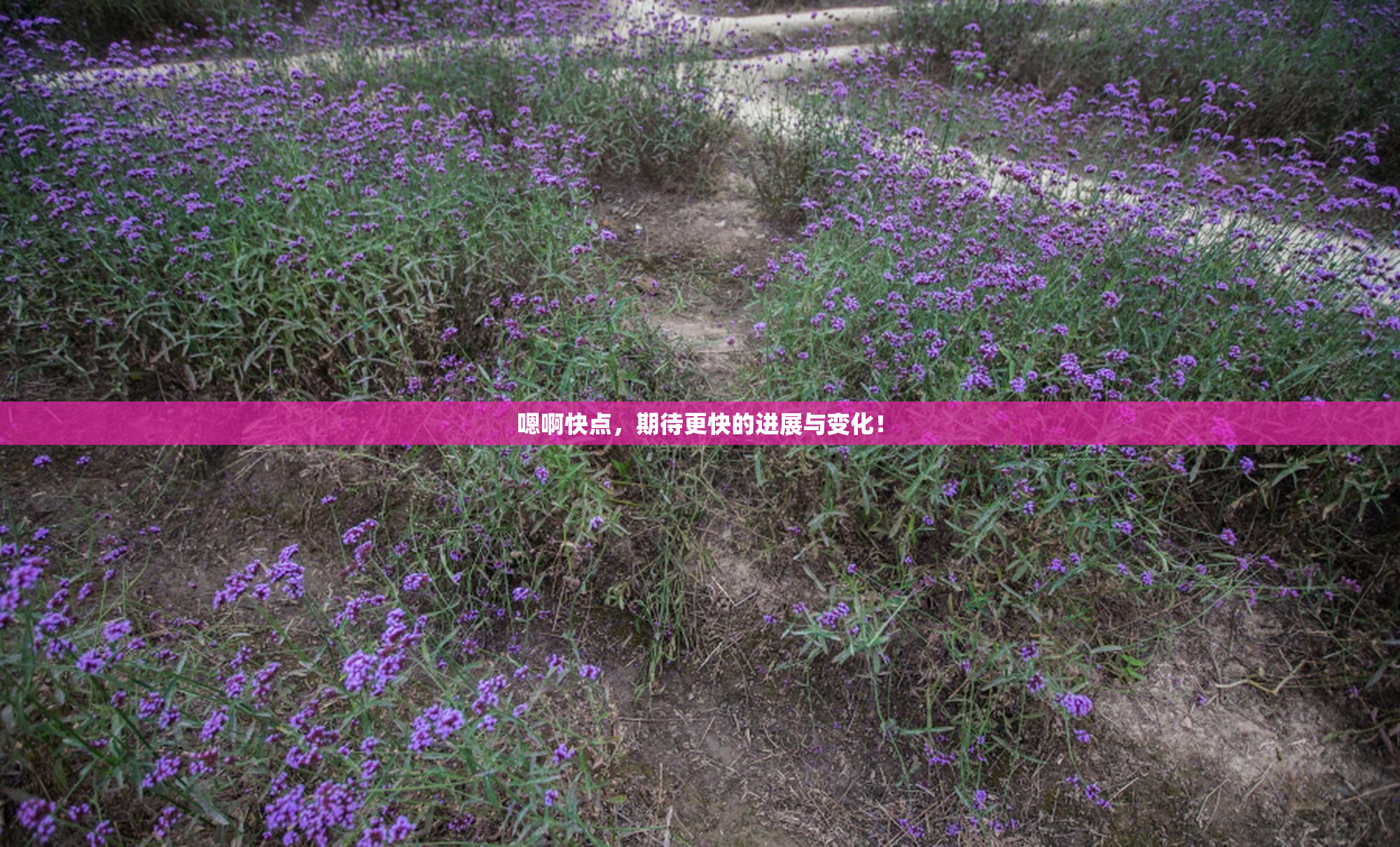 嗯啊快点，期待更快的进展与变化！
