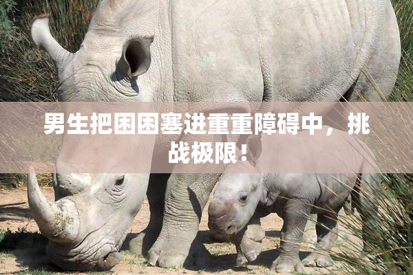 男生把困困塞进重重障碍中，挑战极限！