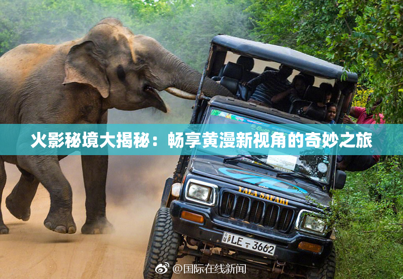 火影秘境大揭秘：畅享黄漫新视角的奇妙之旅