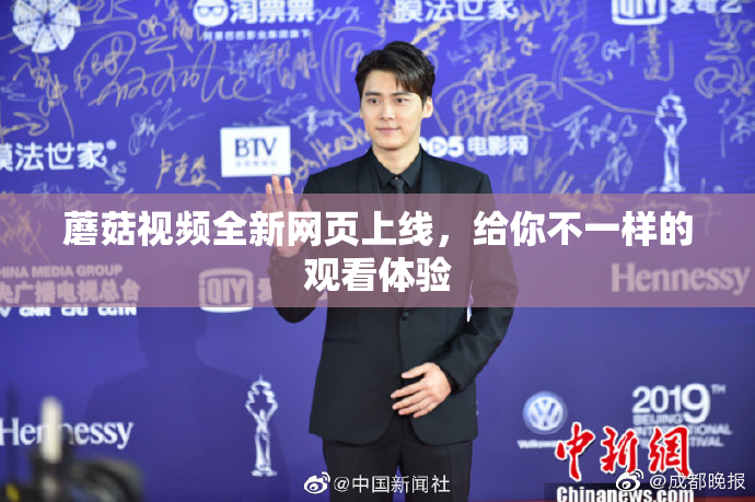蘑菇视频全新网页上线，给你不一样的观看体验