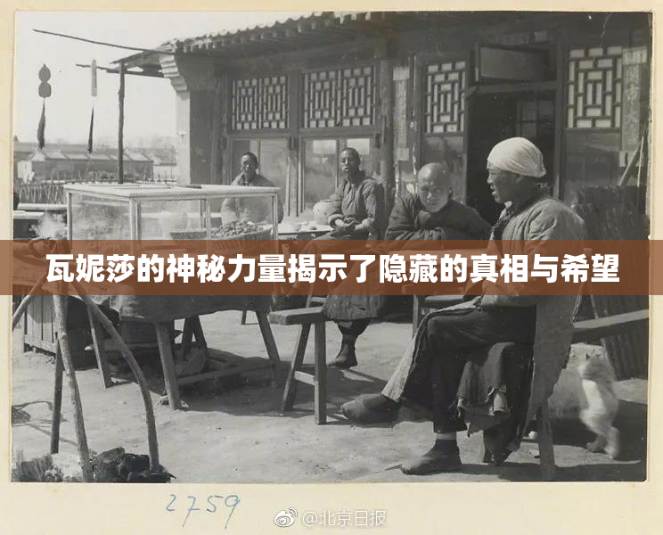 瓦妮莎的神秘力量揭示了隐藏的真相与希望