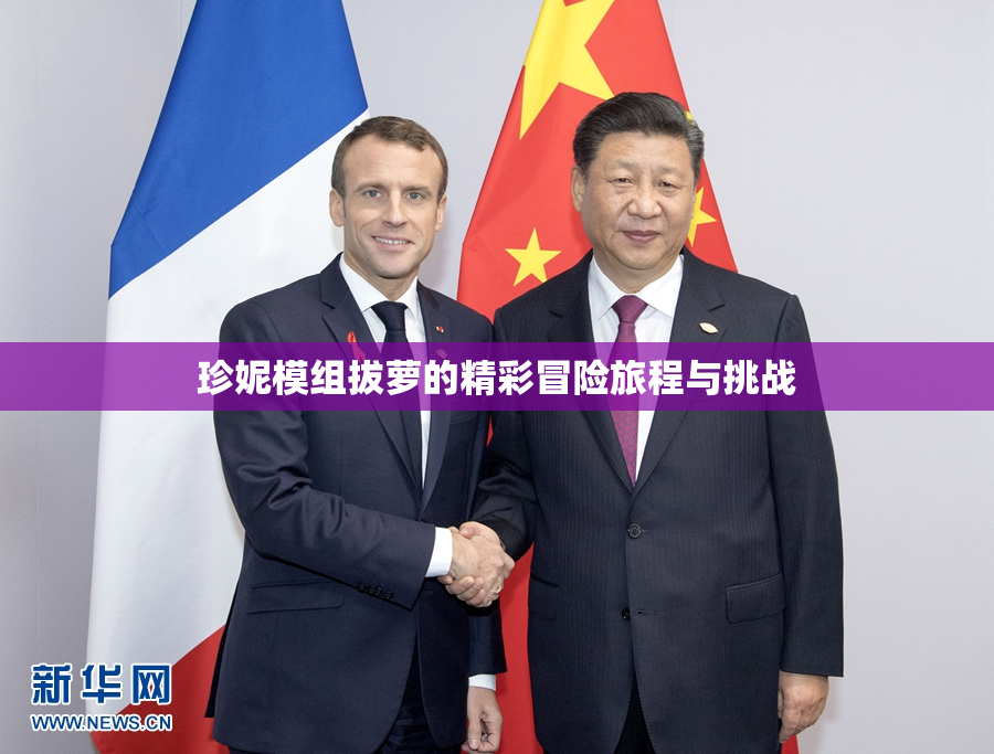 珍妮模组拔萝的精彩冒险旅程与挑战