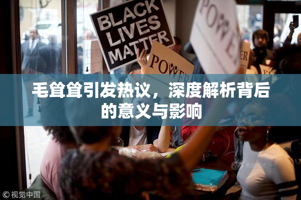 毛耸耸引发热议，深度解析背后的意义与影响