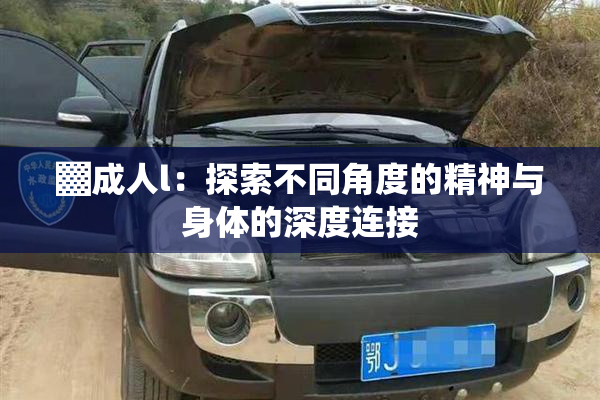 ▓成人l：探索不同角度的精神与身体的深度连接