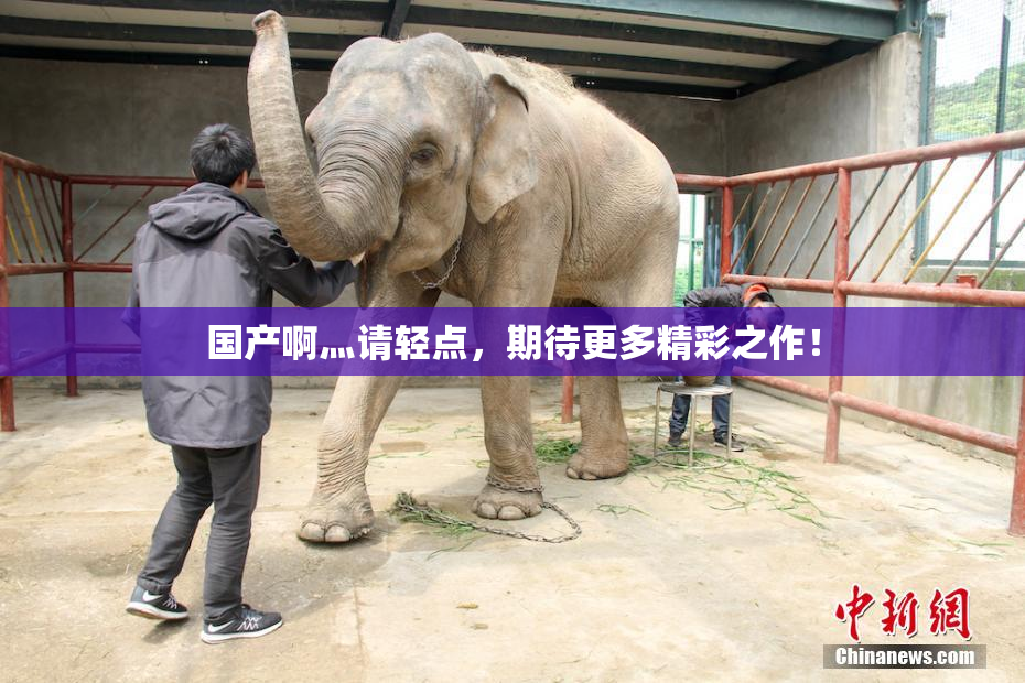 国产啊灬请轻点，期待更多精彩之作！